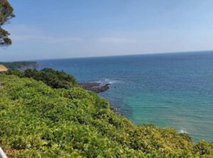 済州島旅行風景